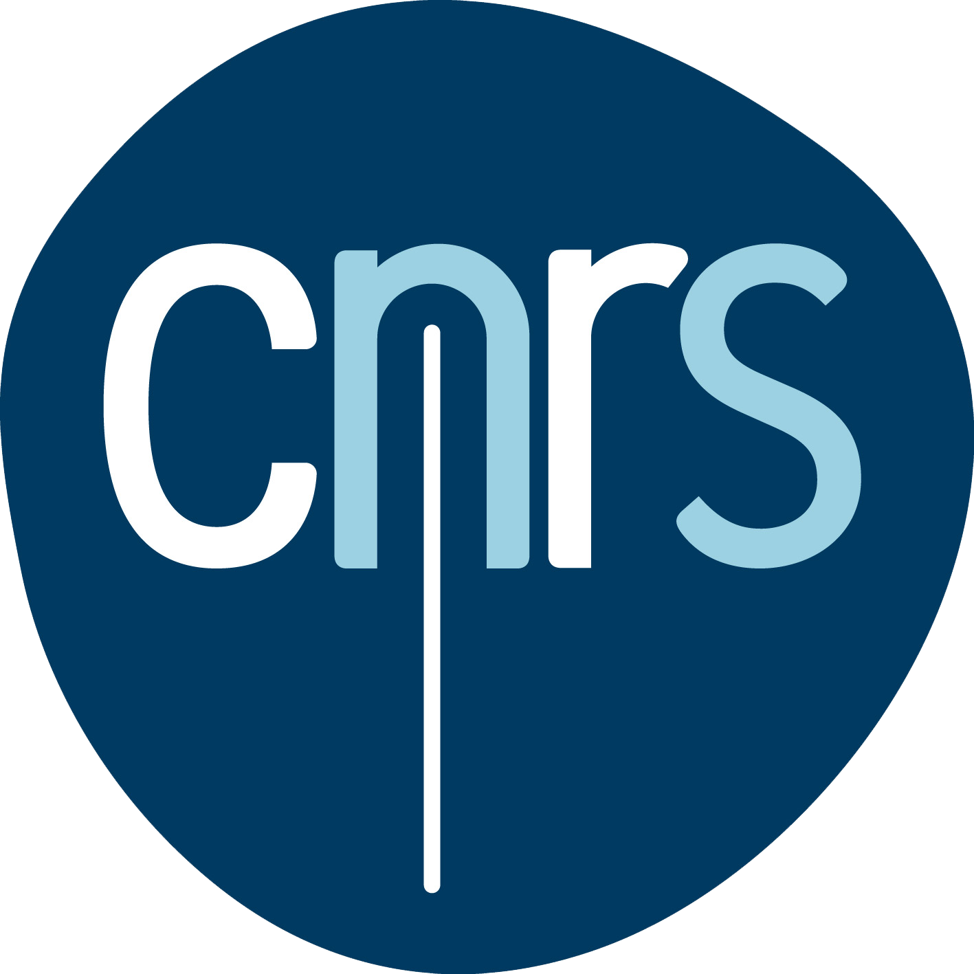 Logo CNRS