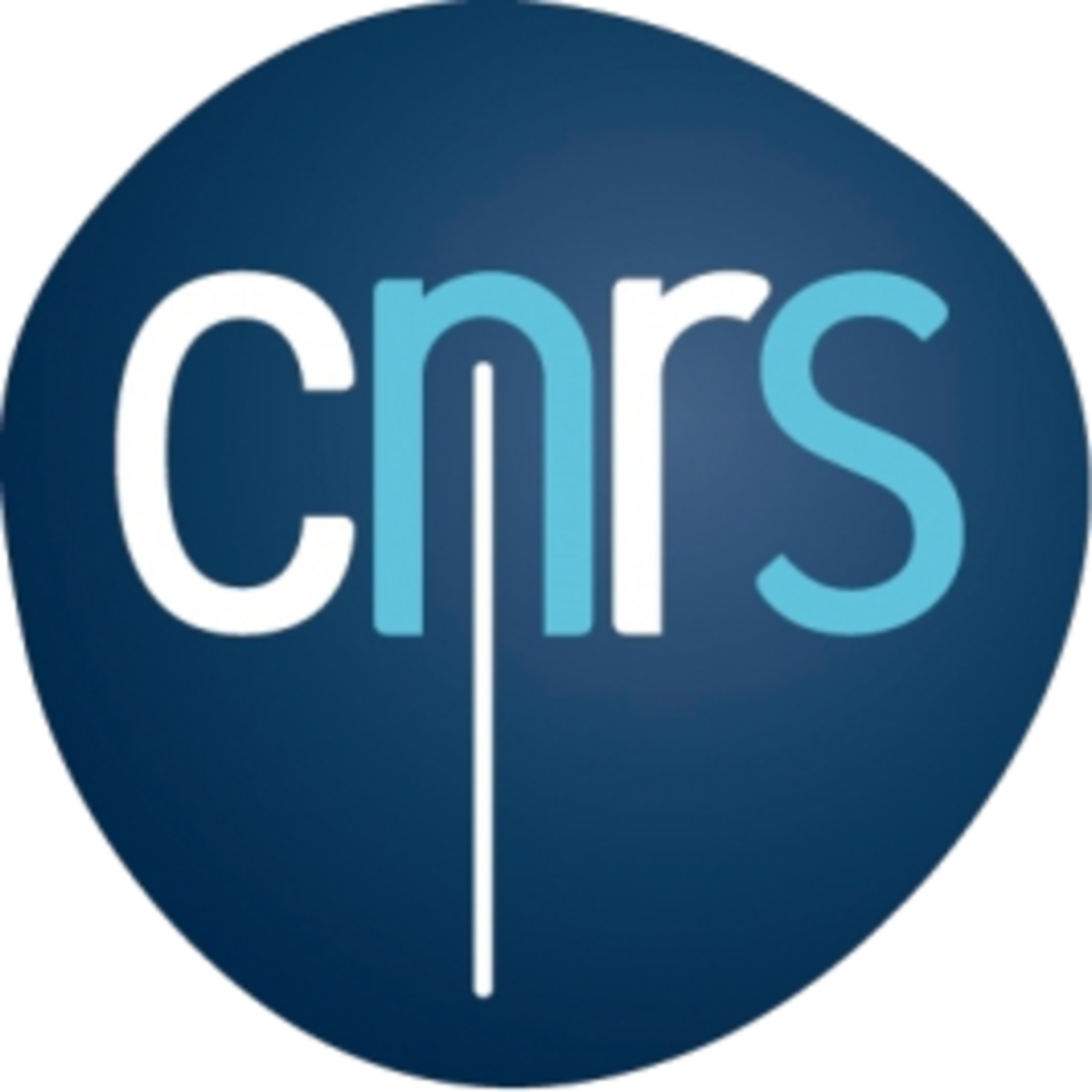 Logo CNRS