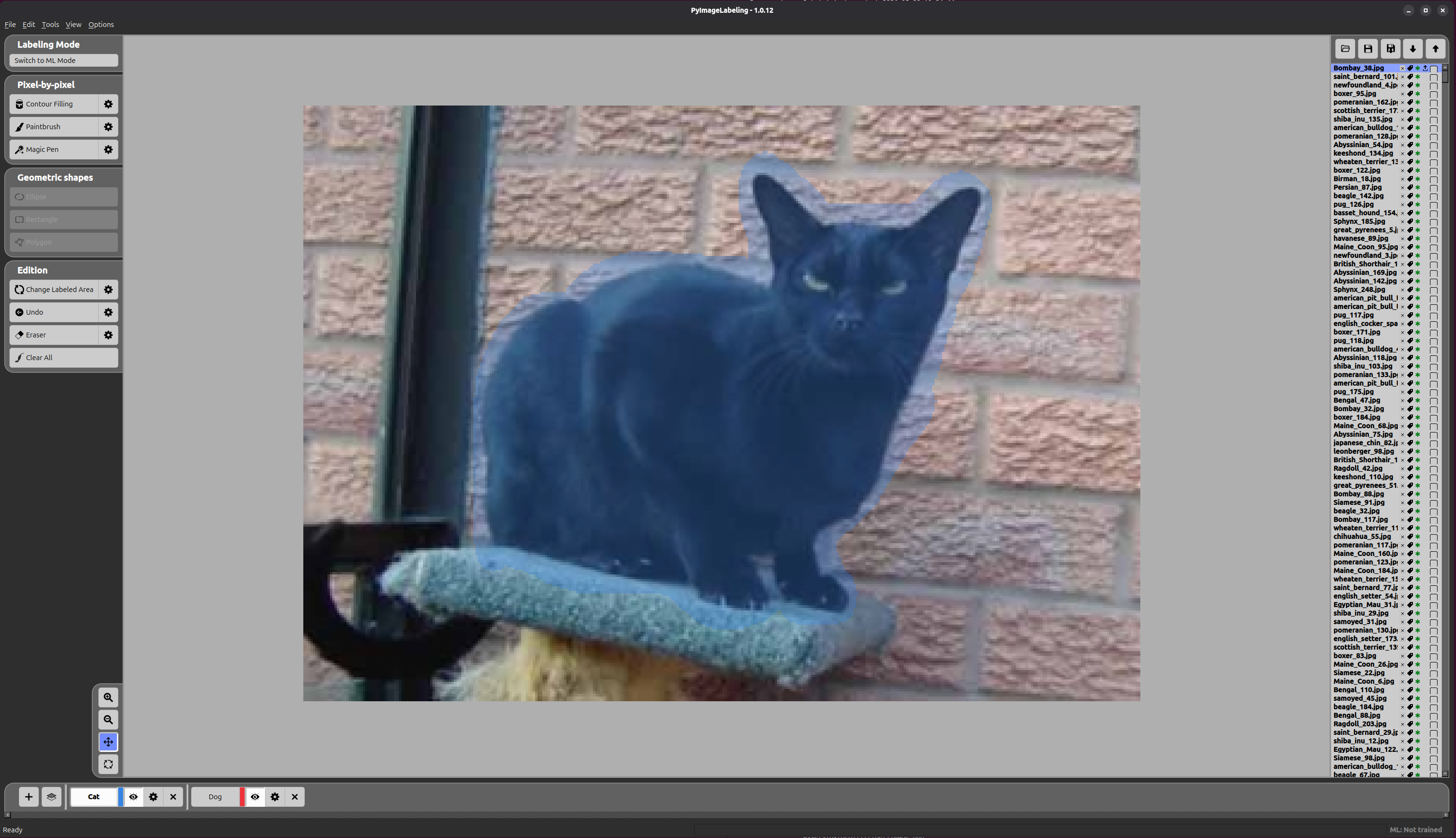 Final result — labelled cat
